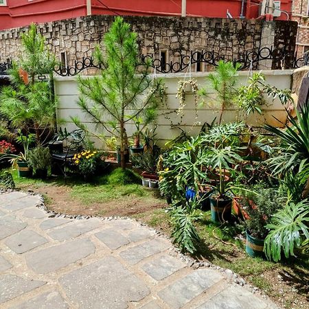 Wasabi House - Homestay Ben Cho Da Lat Dış mekan fotoğraf