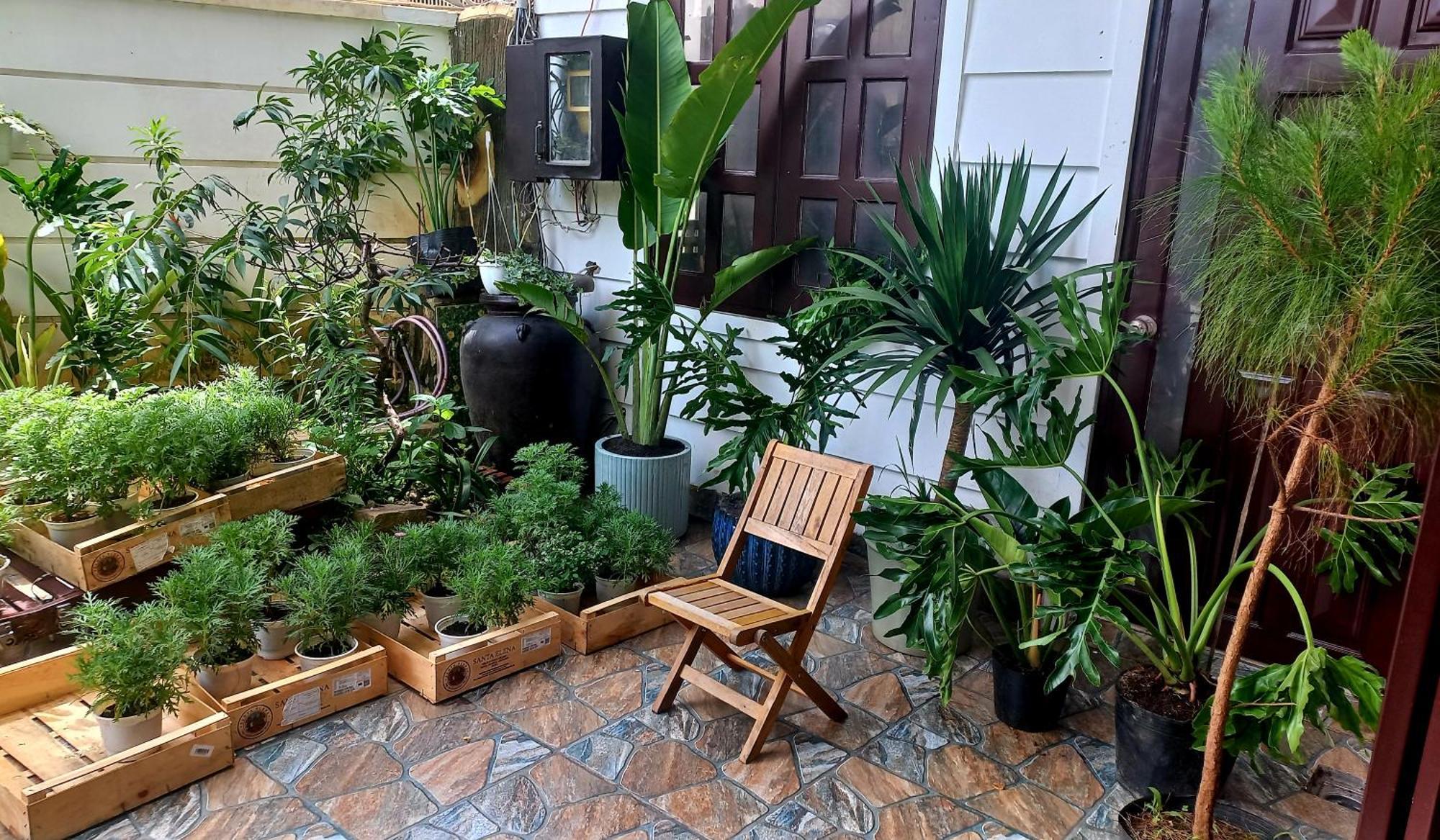 Wasabi House - Homestay Ben Cho Da Lat Dış mekan fotoğraf