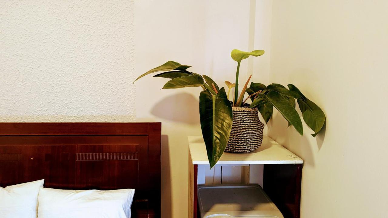 Wasabi House - Homestay Ben Cho Da Lat Dış mekan fotoğraf
