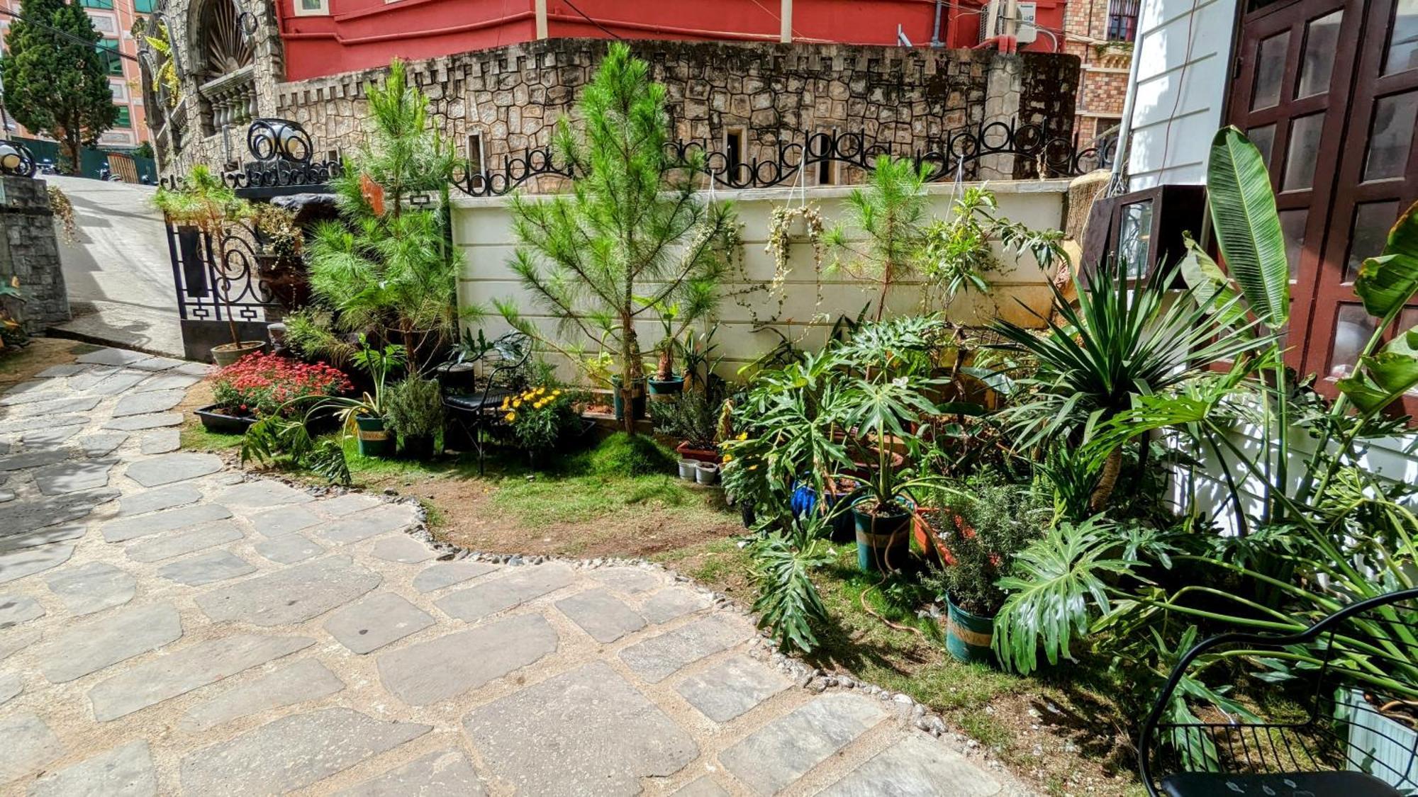Wasabi House - Homestay Ben Cho Da Lat Dış mekan fotoğraf