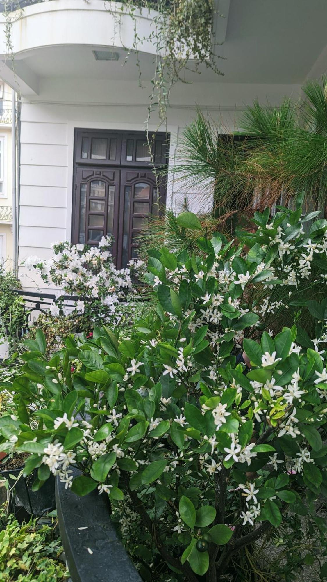 Wasabi House - Homestay Ben Cho Da Lat Dış mekan fotoğraf