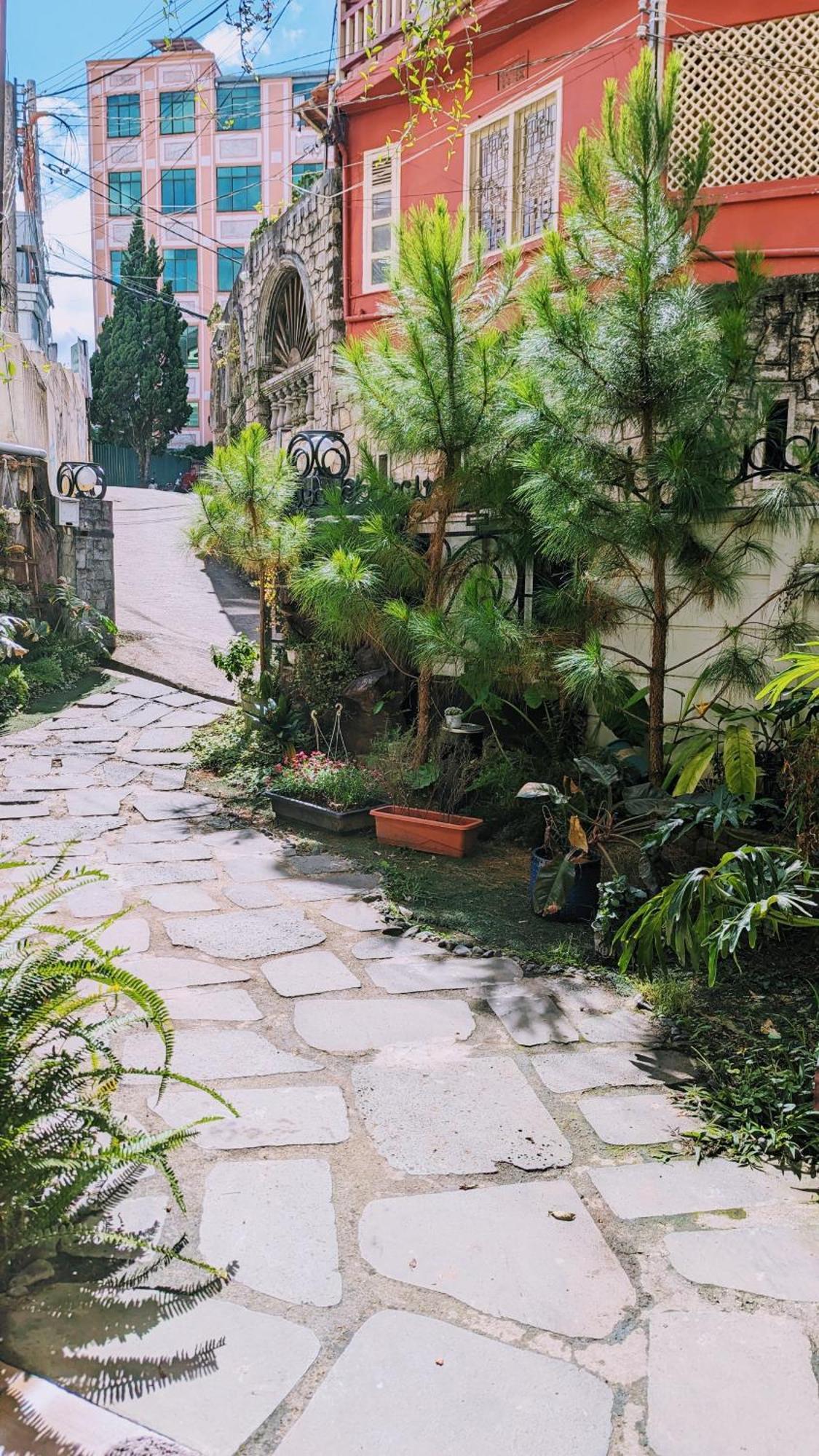 Wasabi House - Homestay Ben Cho Da Lat Dış mekan fotoğraf
